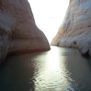(Cygnet) Going up to Rainbow Bridge