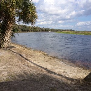 St.John\'s Water Management district campsite. 4 primative, first come, first served campsites