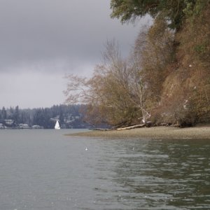 Winter Boating 013 - Budd Bay, Priest Pt Park, looking North
