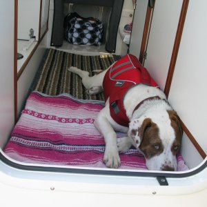 Media 'Lazy day on the boat.' in album 'New CD22 still at the dealer waiting to be rigged and delivered!'