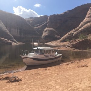 Media 'Oak Canyon' in album 'Waterfall, Oak Canyon after rain'
