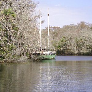 along the Little St Marks river