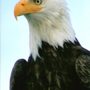 scan0004
