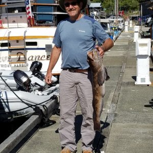Media 'We fished right outside the cove, and my friend caught a nice Lingcod, which fed us several meals.' in album 'Map of the total trip North. Bellingham to the Octopus Islands.'