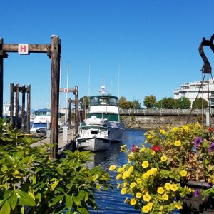 Media 'Resting up at Nanaimo after a rough Georgia Strait crossing, and a long 70 mile day.' in album 'Map of the total trip North. Bellingham to the Octopus Islands.'