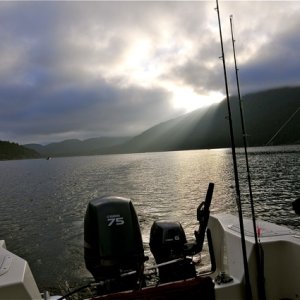 Early dawn, limit up.
