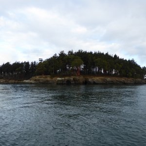 Jan15th-07-Clark Island