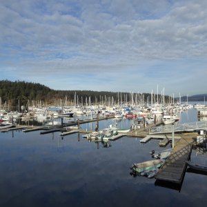 Jan15th-32-Friday Harbor