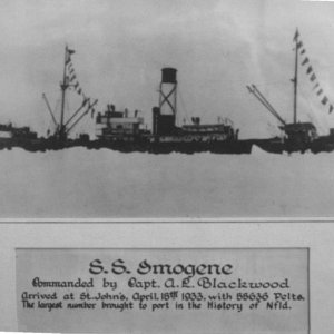 (416rigby) S.S. Imogene, Donna\'s Great Grandfather\'s sealing ship