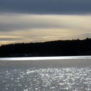 Winter cruise South Sound