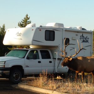 Very close to our truck camper