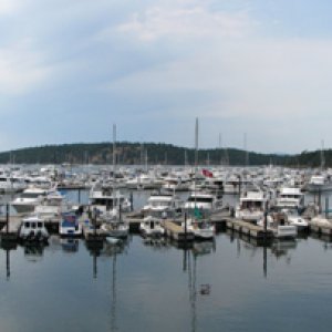 Roche Harbor panarama
