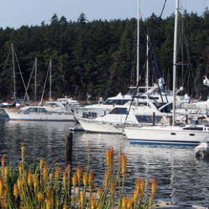 Marina view
