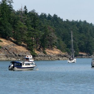 On a mooring in Reid Harbor