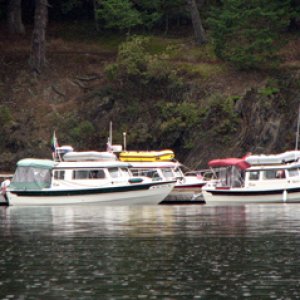 Several C-Dorys at the dock at Prevost Harbor