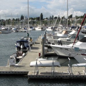Back in Bellingham