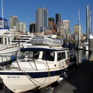 Wild Blue in Bell Harbor Marina
