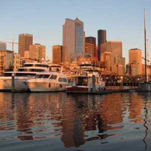 Nice light at sunset