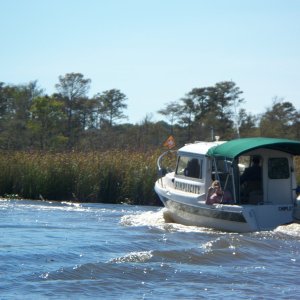 Smile...Your on Candid Camera