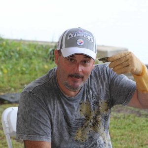 world's best oysters