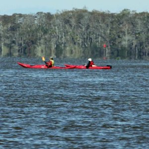 IMG 0106 kayaks on the river