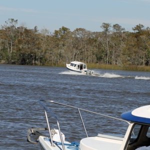 IMG 0110 Off they go