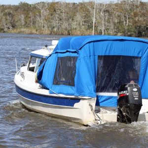 Papillon up the river