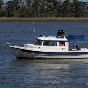 IMG 0129 Wilma Lee 2