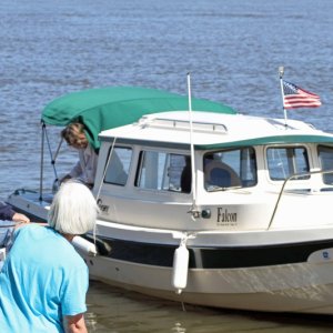 IMG 0131 Falcon leaves