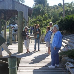 IMG 0144 The gallery