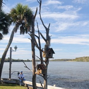 IMG 0145 bird houses on the river