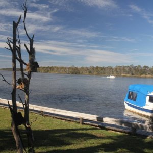 IMG 0149 birdhouses and Paillion