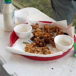 IMG 0167 gator and dip