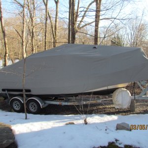 Cover Winter