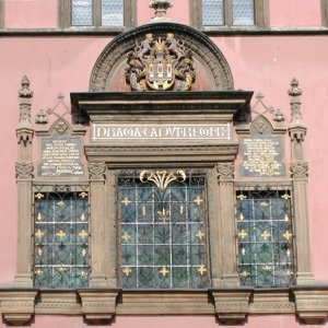 Window5