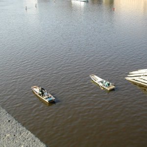 CharlesRiverHogline
