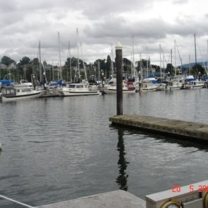 Media 'Another view of P Dock' in album 'Only a couple boats early on Thursday'