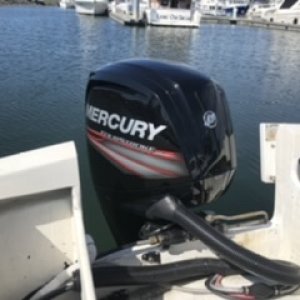 Mercury 90 New 2016