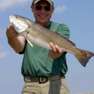 SC Redfish