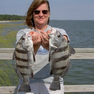 Marcia with two nice sheephead.  Yes, I know sheephead is different in the PNW, Lake Erie, too.