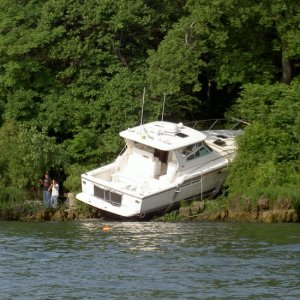 "This looks like a good place to park!  Maybe we can buy some more beer here!"