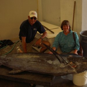 My biggest fish yet! Blue Marlin-357 pounds, 11 feet!  It fought for 45 mintues.  Kona, Hawaii / April, 2007