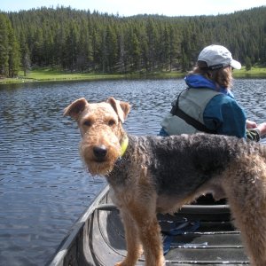 Boomer and Marcia on Sibley Lake.