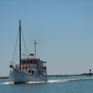 Old beauty.  Carolina 2011.