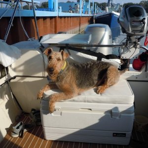 Media '&quot;No more adult beverages until I get fed!&quot;' in album '(Valkyrie) Getting on plane.
Photo by Salty Dog.'