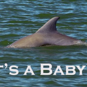 Aw, it\'s a baby