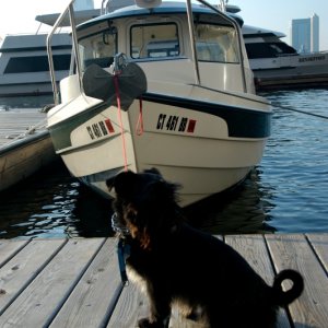 Media 'North Cove Marina, NY Harbor' in album 'Watch Hill, RI'