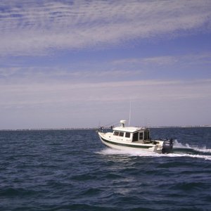 Heading back to Apalachicola. Thanks to C-Pearl for the pic!