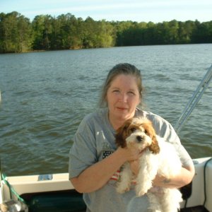 Introducing Angus McKenzie to his first boat trip.

We lost our little guy to liver failure at only 20 weeks old on May 29, 2009. We miss him.