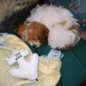 Time for a little nap.